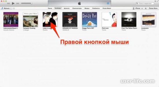        (Iphone  Itunes)