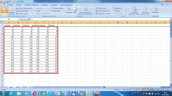      Excel (  )