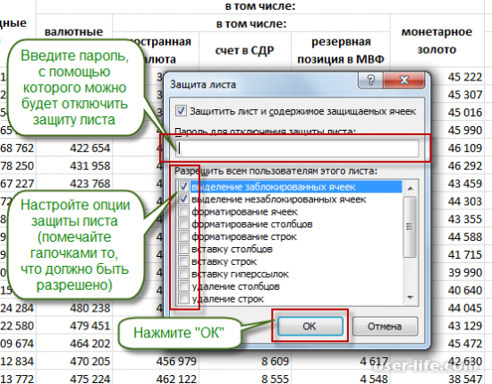       (Excel)    