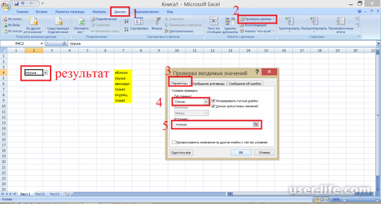      Excel (   )