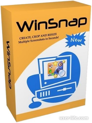 WinSnap     