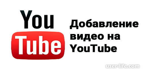      Youtube ()