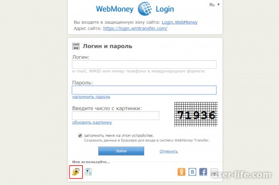     Webmoney ()