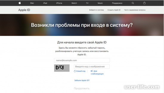       Apple ID (  Ipad  )