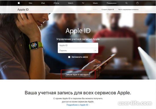       Apple ID (  Ipad  )