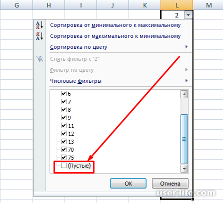      Excel ()