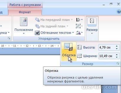     Microsoft Word ()