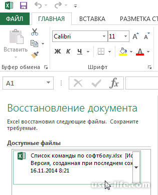     Excel (     )