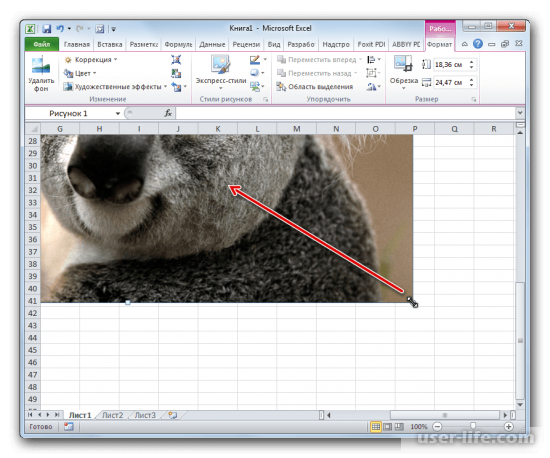     Excel (  )