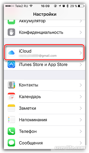   Apple ID       