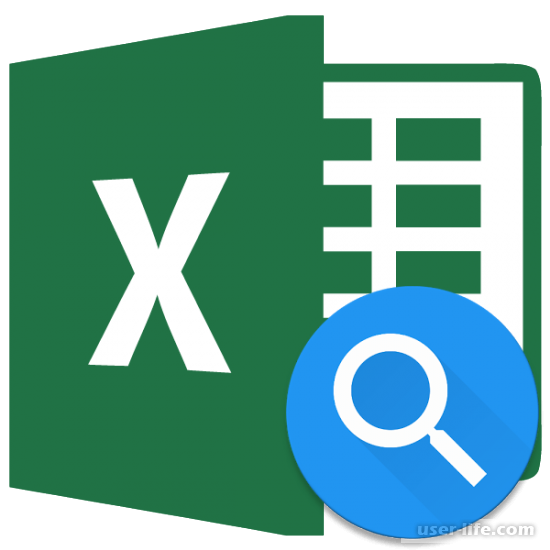    Excel (      )