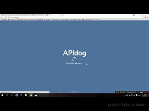 Apidog    : plus  3.0      ru    Vk