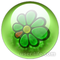    ICQ   