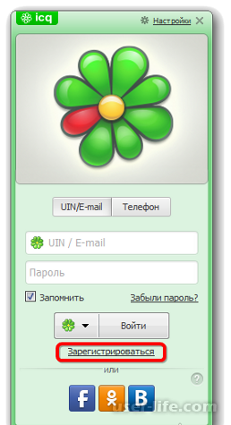    ICQ   