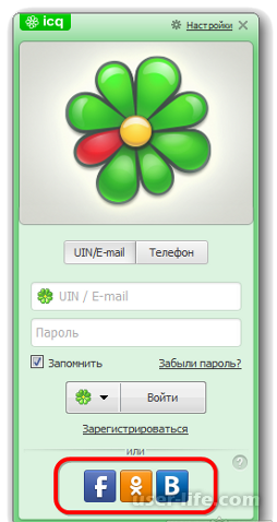    ICQ   