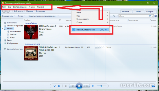   Windows Media Player