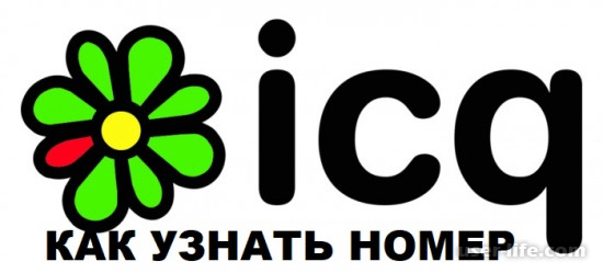    ICQ ()