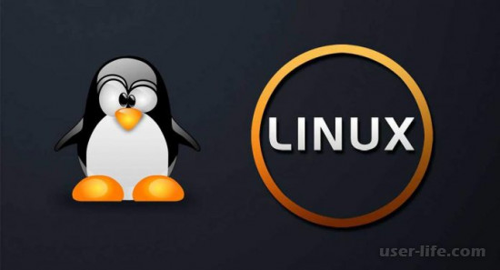  Linux  (  )