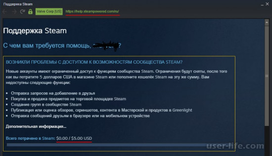     Steam