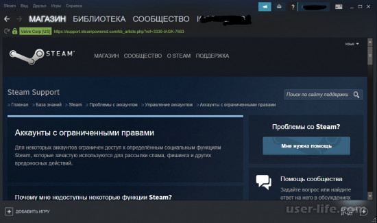     Steam