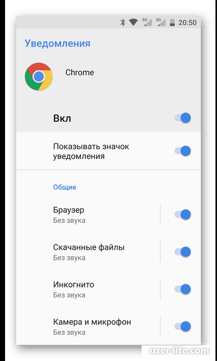     Google Chrome