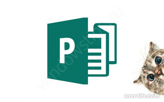 Microsoft Publisher      