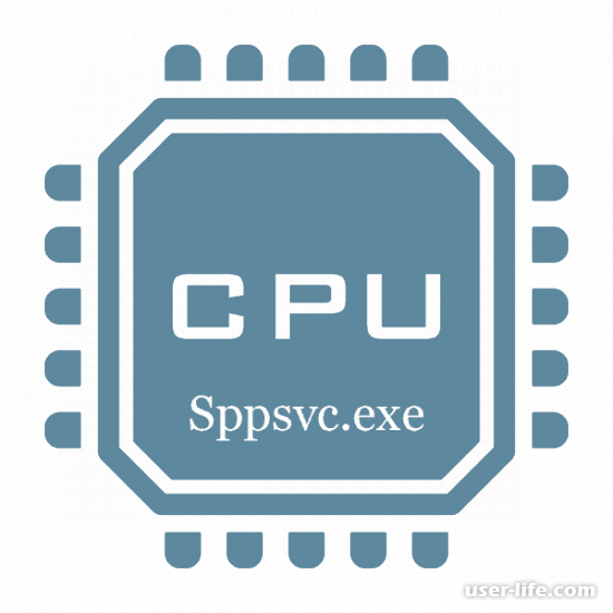        sppsvc exe