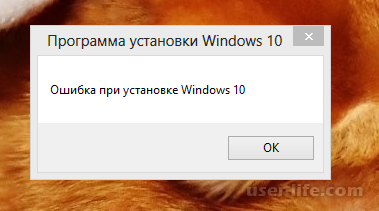    Windows 10       