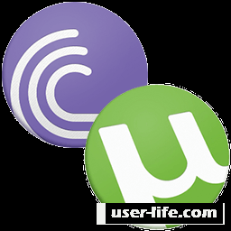 uTorrent  BitTorrent     