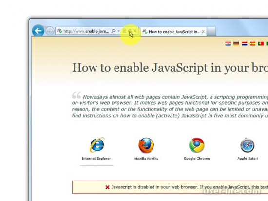   JavaScript  Internet Explorer