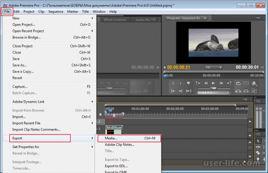     Adobe Premiere Pro