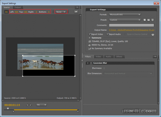     Adobe Premiere Pro