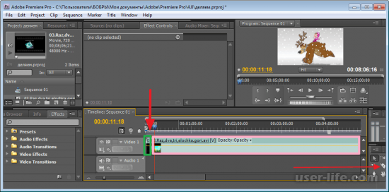     Adobe Premiere Pro