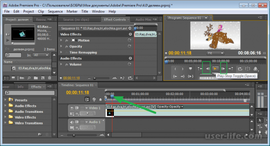     Adobe Premiere Pro