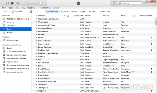       iTunes  (  )