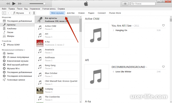       iTunes  (  )