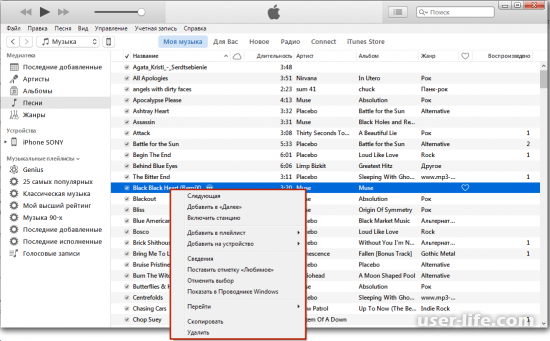       iTunes  (  )