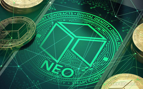 Neo       