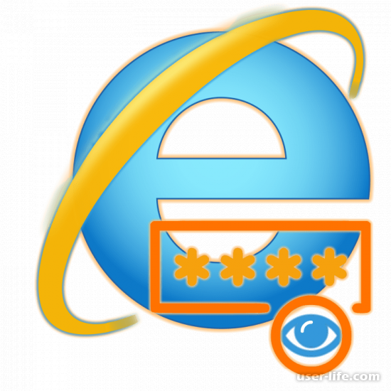       Internet Explorer