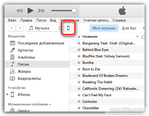      iTunes