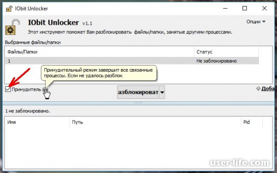 IObit Unlocker       