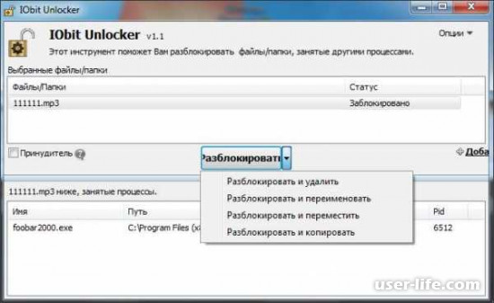 IObit Unlocker       