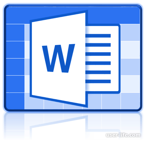       Microsoft Word