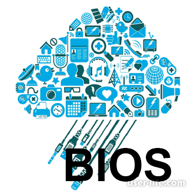      BIOS