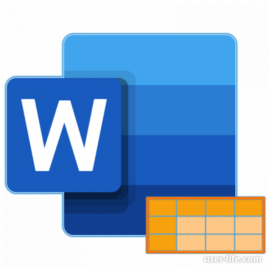     Microsoft Word