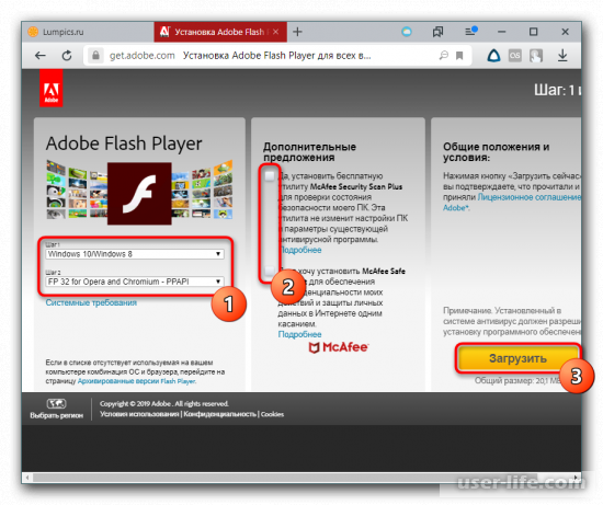   Adobe Flash Player  .