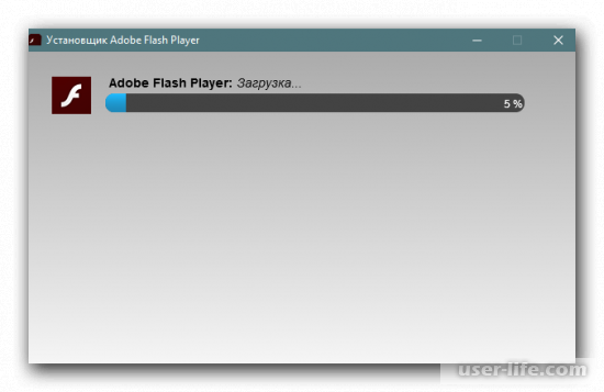   Adobe Flash Player  .