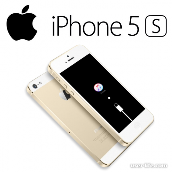    5S 