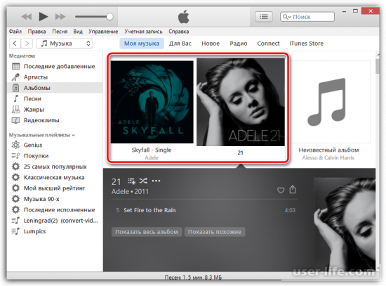     iTunes  