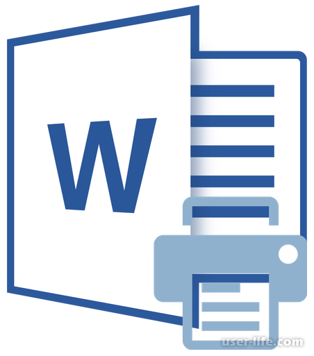      Microsoft Word 